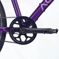 Academy 26" Grade 6 Belt - Purple
