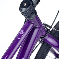 Academy 26" Grade 6 Belt - Purple