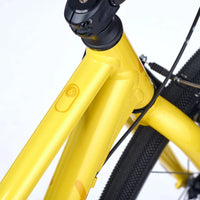 Academy 26" Grade 6 Belt - Yellow