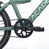 Academy - 16" Belt - Grøn