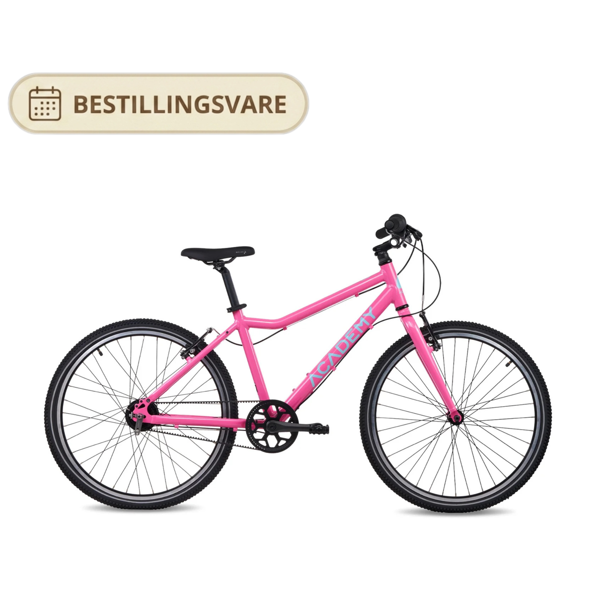 Academy 24" Grade 5 Belt - Pink