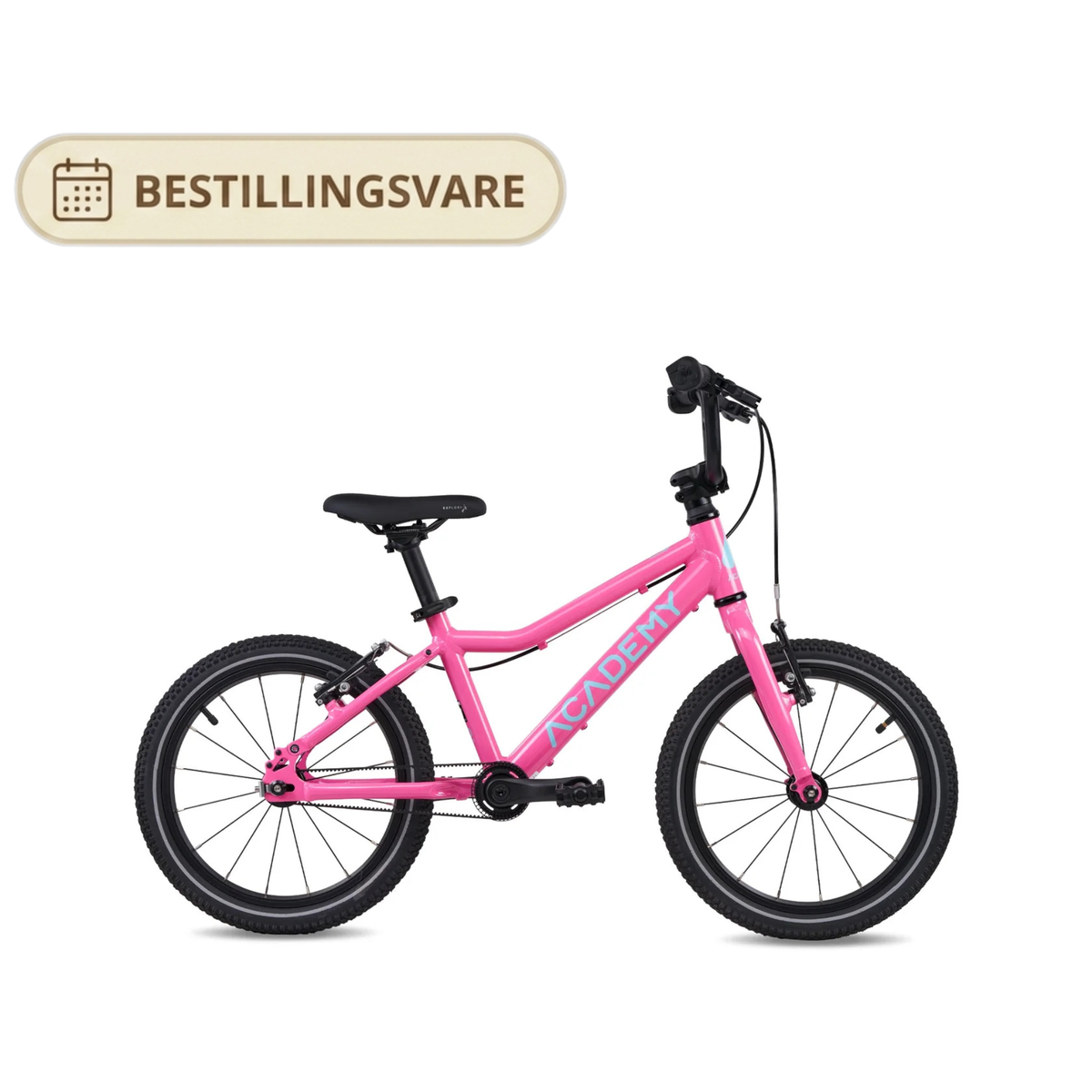 Academy - 16" Belt - Pink