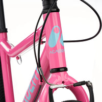 Academy 24" Grade 5 Belt - Pink