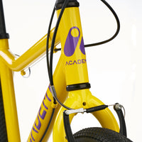 Academy 24" Grade 5 Belt - Yellow