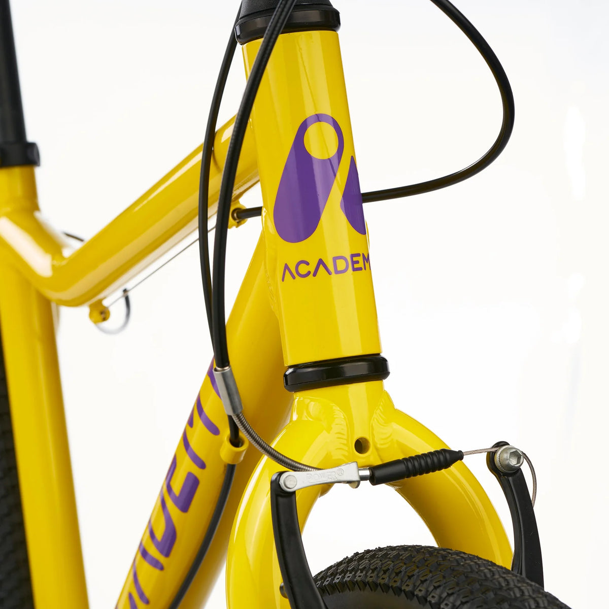 Academy 24" Grade 5 Belt - Yellow