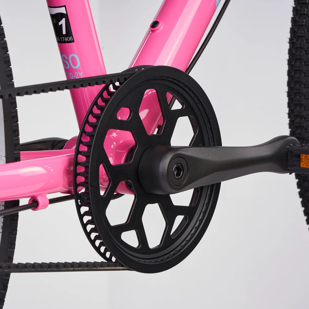 Academy 24" Grade 5 Belt - Pink