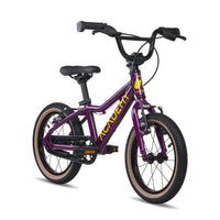 Academy - 14" Purple
