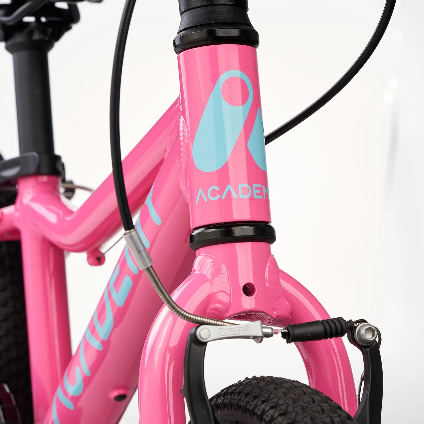 Academy - 14" Pink