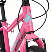 Academy 20" Grade 4 Belt - Pink