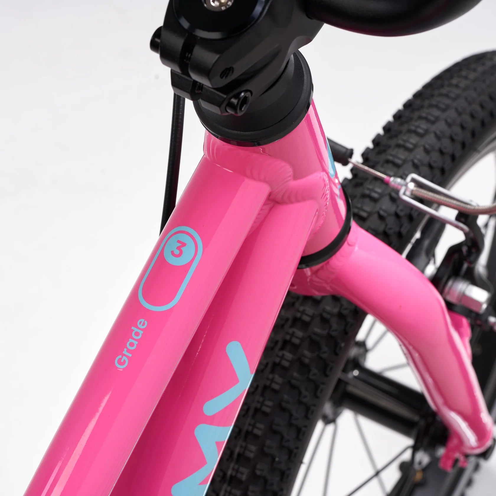 Academy - 16" Belt - Pink