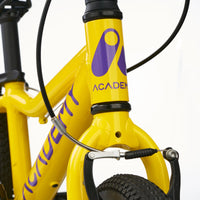 Academy - 14" Yellow