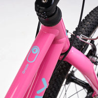 Academy 20" Grade 4 Belt - Pink