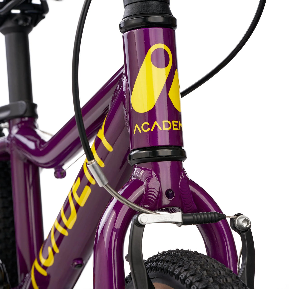 Academy - 14" Purple