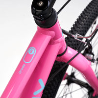 Academy 24" Grade 5 Belt - Pink
