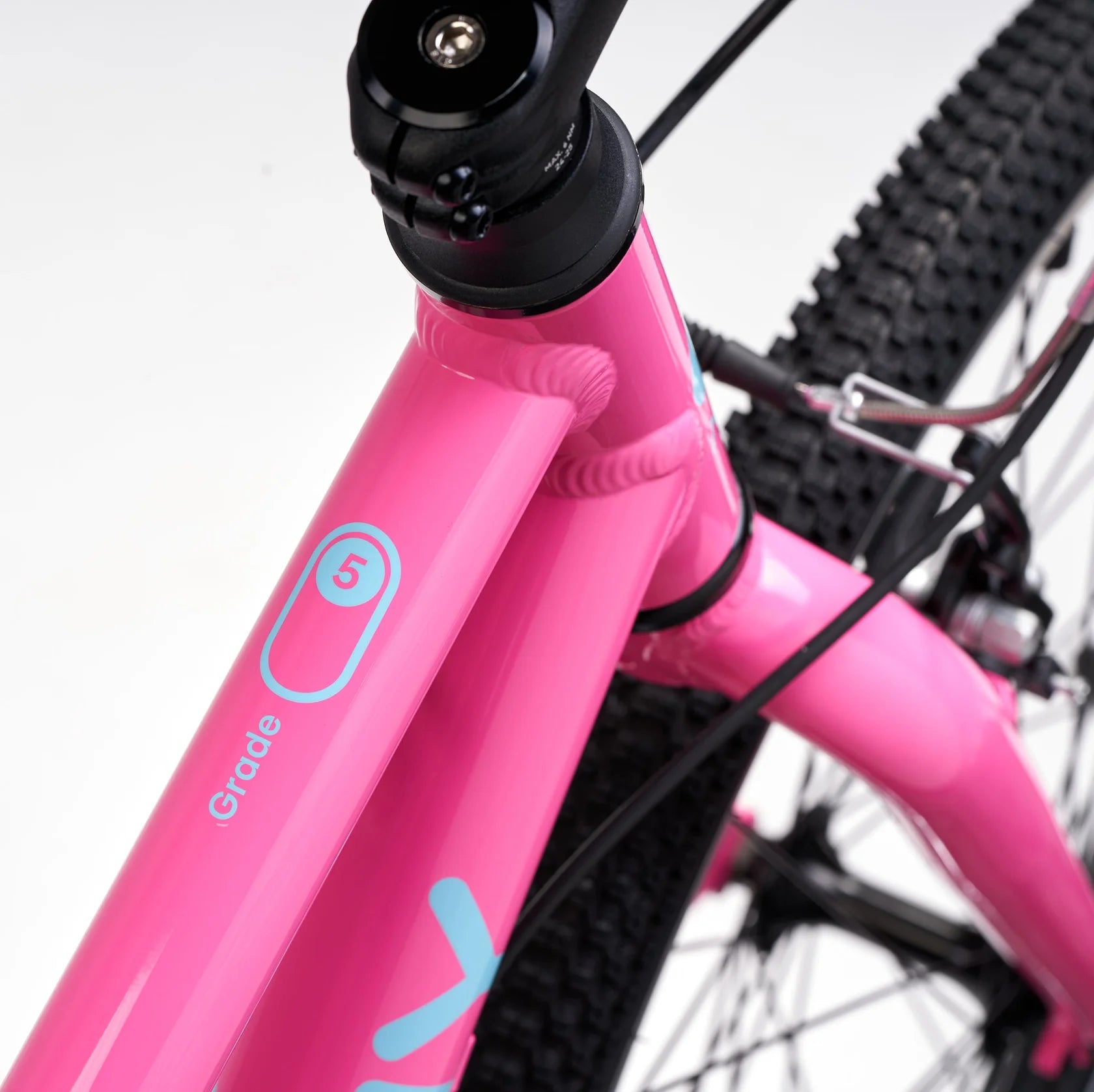 Academy 24" Grade 5 Belt - Pink